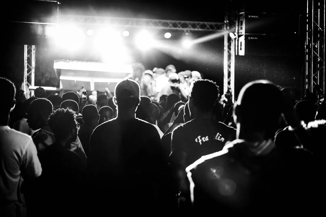 Crowd at a live show